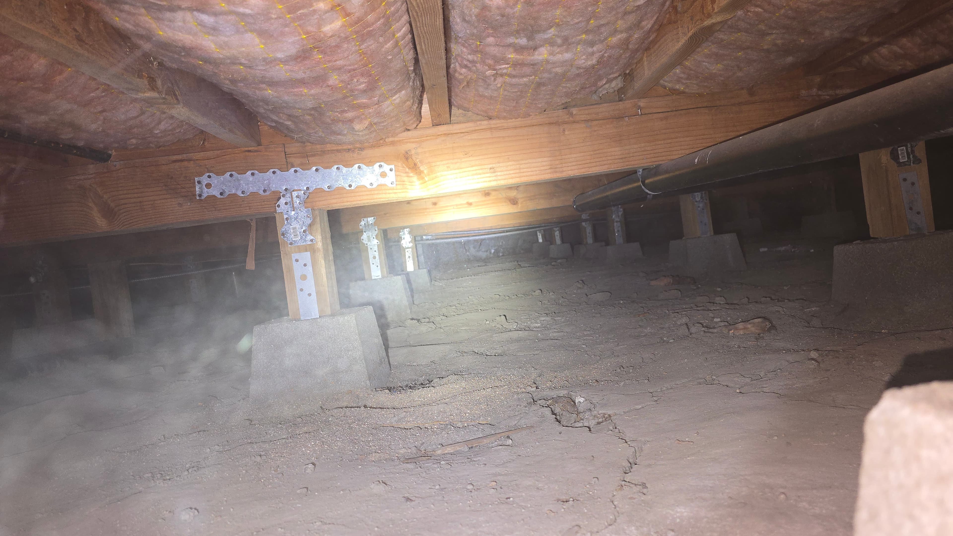 Crawlspace condition documented during a Trident home inspection