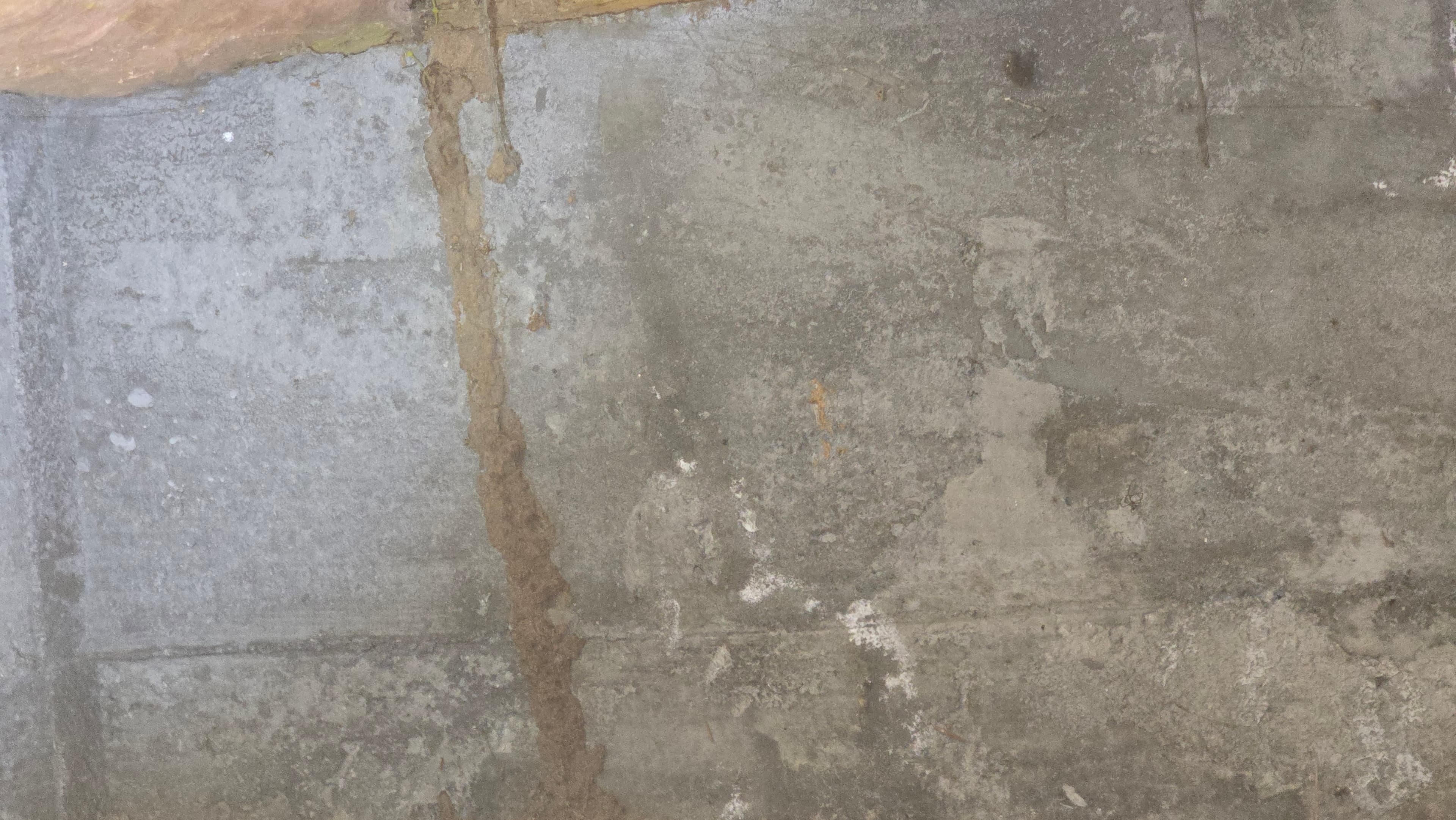 Crawlspace condition documented during a Trident home inspection