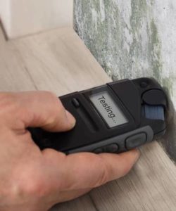 Being able to detect high moisture areas is critical to effective black mold remediation. 