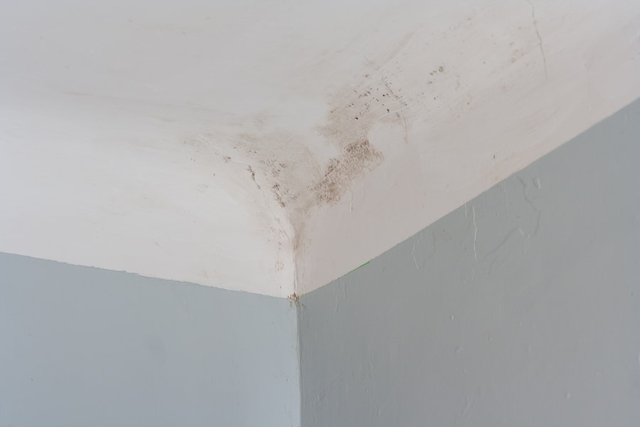 4 Warning Signs Your Home Needs a Mold Inspection
