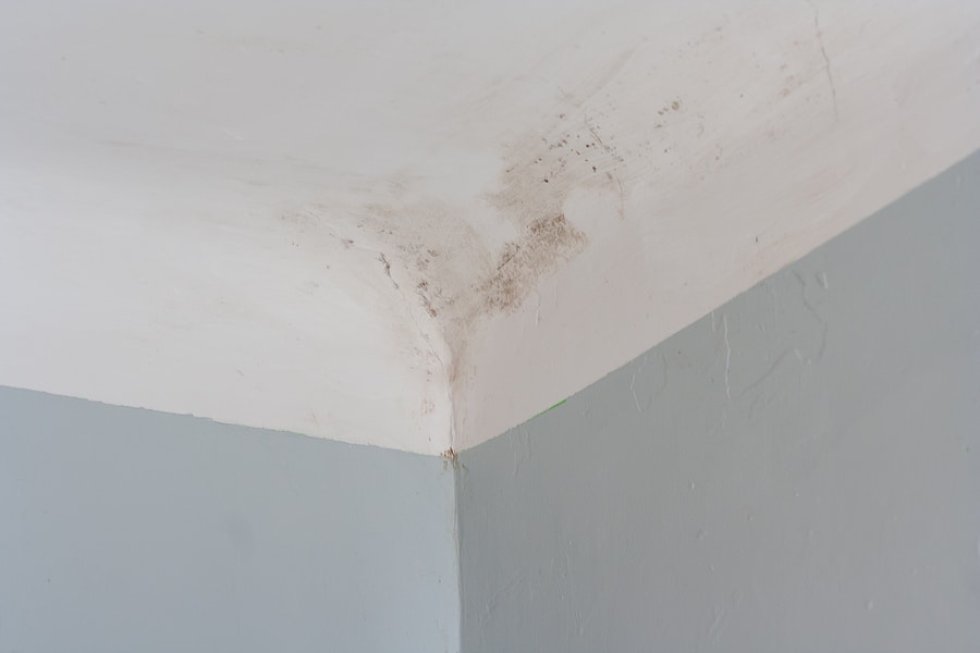 Indoor Air Quality and Mold Testing