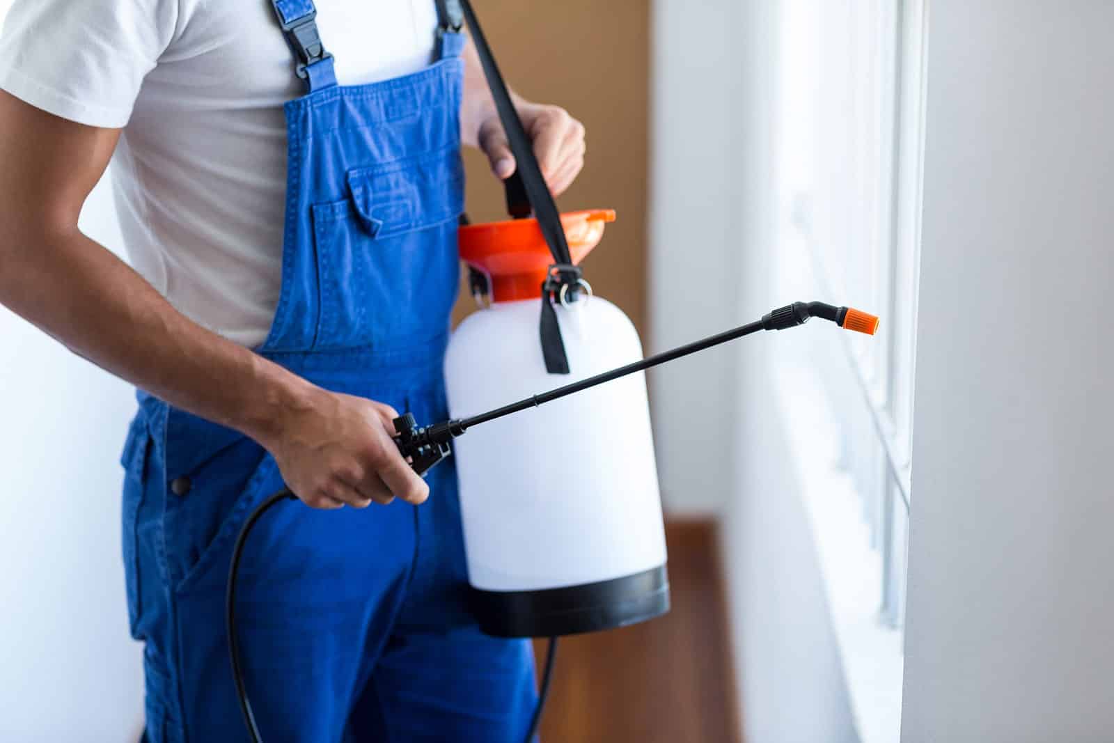 Professional Pest Control Services in Orange County, CA