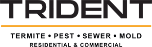 Trident Inspection Group Logo